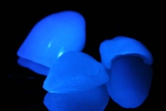 phpThumb_generated_thumbnail